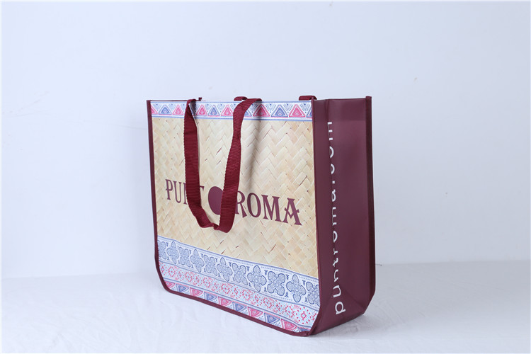 reusable laminated pp non woven shopping bag